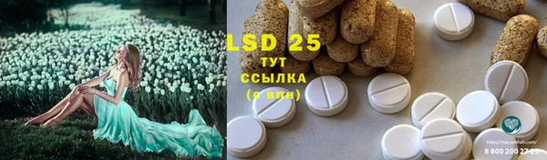 PSILOCYBIN Алексеевка