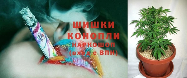 PSILOCYBIN Алексеевка