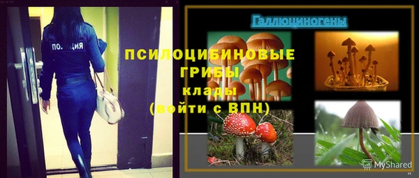 PSILOCYBIN Алексеевка