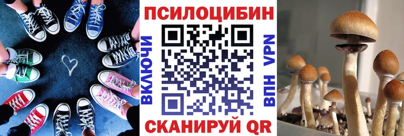 мега онион  Палласовка  Псилоцибиновые грибы Psilocybe 